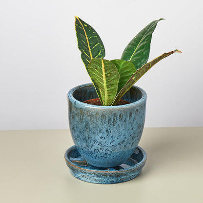 Liberty Bell Planter