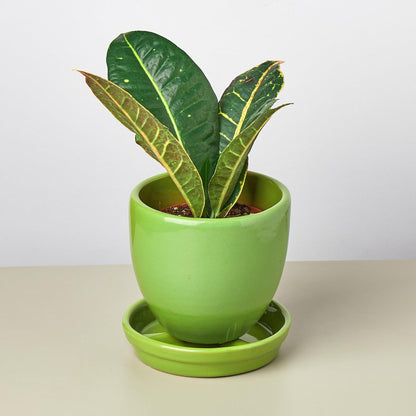 Liberty Bell Planter